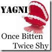 yagni_once_bitten_twice_shy
